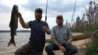 Cooking Maple Glazed Trout on Primitive Fish Rock Smoker [upl. by Paxon]