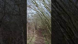 Exploring An Abandoned Railway Beautiful Walks Condensed into 1 Minute EnglishCountryside [upl. by Ferneau]