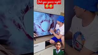 I thought it was an egg🤣 funny comedy shorts youtubeshorts trending [upl. by Dadelos]