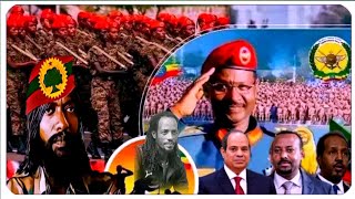 ODUU Ammee Amma nu dhaqabe BBC Afaan oromo wal  himannaa qondaaltota waraana Bilisummaa oromof kaan [upl. by Assiralk]