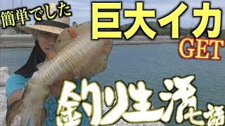 【エギング】所持金0円で釣り生活 7話【伊是名島編】 [upl. by Peonir]