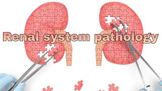 Renal system pathology 1st lecture [upl. by Mimajneb]