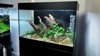 Low Tech NonCO2  30 Gallon Aquascape Tutorial  Full StepbyStep [upl. by Anifares230]