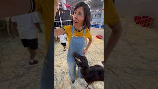 Christina y los animales están muy tristes ☹️ 123andres musicainfantil shorts granja animales [upl. by Borries]