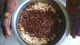 ஈசல் வறுவல் Eesal cooking  winged termites snack  Healthy village food  Nithyas Home kitchen [upl. by Ahsienom]