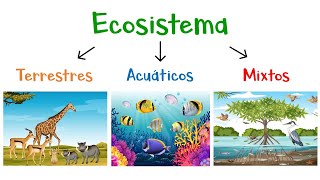 🌿 ¿Qué son los Ecosistemas 🌎 Tipos de Ecosistemas 🐠 Fácil y Rápido [upl. by Anwahsar155]