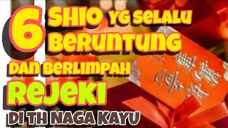 6 SHIO yg selalu BERUNTUNG amp berlimpah REJEKI di th NAGA KAYU [upl. by Ahsrop]