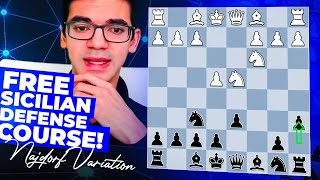 HOW TO PLAY Sicilian Defense Najdorf Variation by Grandmaster Anish Giri [upl. by Annaitat]