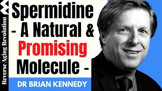 SPERMIDINE – A Natural amp Promising Molecule  Dr Brian Kennedy Interview Clips [upl. by Vaughan]