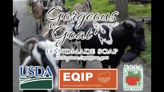 USDA NRCS EQIP Gorgeous Goat Creamery NOFA NJ [upl. by Tioneb683]