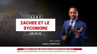 ZACHEE ET LE SYCOMORE [upl. by Janela]