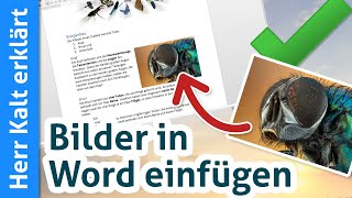 Bilder in Word Einfügen – Super leichte Anleitung [upl. by Ahsiuqram]