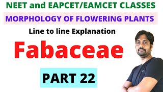 Fabaceae Family NCERT  Morphology of Flowering Plants  PART 22 [upl. by Oinesra72]