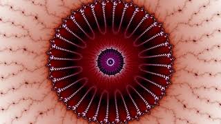 Mandelbrot World Record Attempt  Part 5 e8000 to e10000 [upl. by Yemorej194]