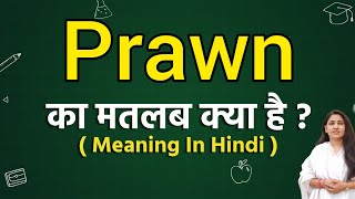 Prawn meaning in hindi  Prawn ka matlab kya hota hai  Word meaning [upl. by Lovering]