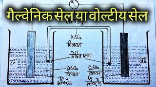 गैल्वेनिक सेल या डेनियल सेलgalvanic cellvoltaic cellelectrochemical cellclass 12 Chemistry [upl. by Placia408]