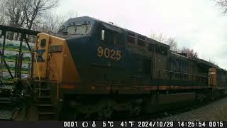 241103 North Facing Backyard Railcam [upl. by Kcirddehs900]