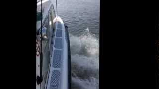 BOAT Microplus 502 75hp 2stroke Outboard on the plane [upl. by Warfeld74]