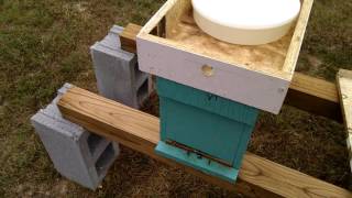 Hive Top Feeder From Barnyard bees [upl. by Rhona]