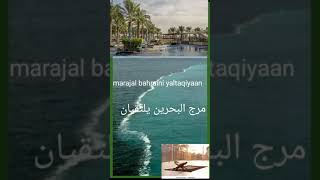 marajal bahraini  miracle of Quran  the tow seas مرج البحرین یلتقیان [upl. by Neetsirk773]