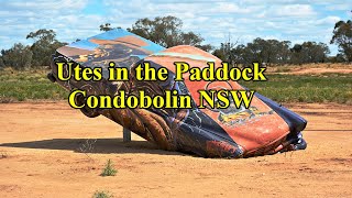 Utes in the Paddock  Condobolin  See link for photos [upl. by Ko]