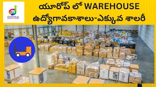 Warehouse job opportunities in Europe and skills required in Telugu [upl. by Offen]