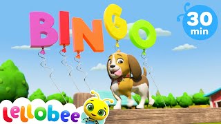 Bingo Song  ABCs and 123s  Learning Activities for Kids  Learn at Home  Nursery Rhymes  LBB [upl. by Ardried]