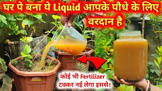 सब पौधे में प्रोयोग होने वाला Liquid Fertilizer  बहुत शक्तिशाली Liquid Acid है ये बनाना सिख़लो [upl. by Aneeuqahs]