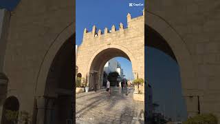 Discover the authentic of Tunesië Sousse Port El Kantaoui Travel vlog [upl. by Israeli400]