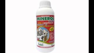 Minerol Plus [upl. by Ahsieken113]