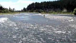 Flyfishing the Tongariro River New Zealand [upl. by Anasiul212]