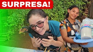 MÃE RECEBE COM ALEGRIA AS GALINHAS ENVIADAS POR LEILA🤣 [upl. by Yeliw]