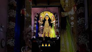 Joy Maa Jogodhatri🥳🎉🥳🎉✨highlights2024 everyone highlights [upl. by Aisenet664]