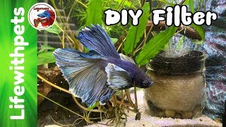 EASY DIY FILTER for a BETTA FISH TANK [upl. by Naivaf]