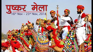 Pushkar Mela  The Most Popular Camel Fair of Rajasthan India [upl. by Ahtiekal]