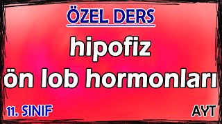 7 Endokrin Sistem 1  Hipotalamus  Hipofiz  Ön Lob Hormonları  Özel Ders 11 Sınıf [upl. by Aiynot446]