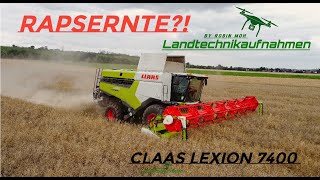 Claas lexion 7400 beim Raps dreschen [upl. by Yrffoeg]