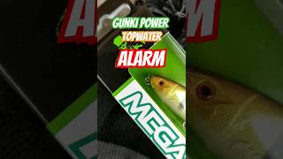 GUNKI POWER fishing gunki fish bassfishing catchandrelease happy topwater [upl. by Nasia]