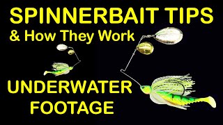 Spinnerbait Fishing Lure Tips and How to Fish Spinnerbaits Underwater Footage [upl. by Fidelio]