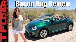 2018 Beetle Convertible Review Top Down Bacon [upl. by Oralle19]