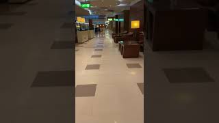 Business lounge Dubai lounge dubai shortvideo [upl. by Rozelle]