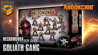 Анбоксинг  Necromunda Goliath Gang [upl. by Attenra]