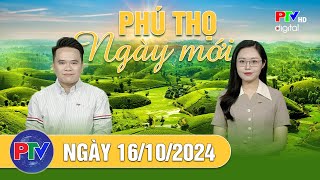 Phú Thọ ngày mới ngày 16102024  Phú Thọ ngày mới [upl. by Consuelo]