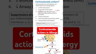 Corticosteroids actions in Allergy [upl. by Anual]