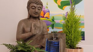 Relax  Chill  Zen Live Stream 8 [upl. by Alliber]