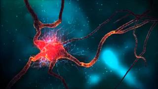 Accelerated Healing Binaural Beats Brainwave Entrainment [upl. by Fredric]