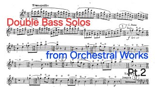 Double Bass Solos from Orchestral Works Part 2 [upl. by Inavoy428]