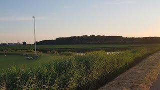 Uitkijktoren naast naturistencamping [upl. by Arammat297]