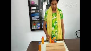 sound boxespresentation2Montessori activitySensorial areaLady bird manjeri [upl. by Reddy]