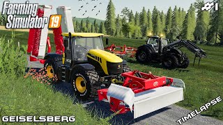 Mowing and windowing grass  Animals on Geiselsberg  Farming Simulator 19  Episode 1 [upl. by Elleiad]